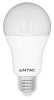 Entac LED Globe E27 12W NW 4000K