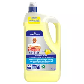 Mr. Proper Professional Citrom 5 L 