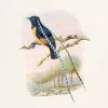 Falinaptár képes lemeznaptár 300x300mm, Birds in Art Realsystem 2027.