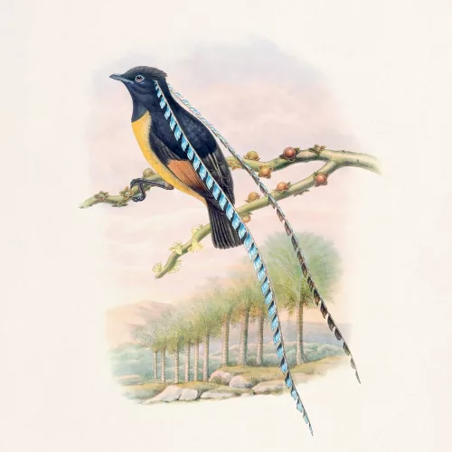 Falinaptár képes lemeznaptár 300x300mm, Birds in Art Realsystem 2027.