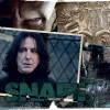 Falinaptár képes lemeznaptár 300x300mm, Harry Potter Realsystem 2027.