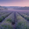 Falinaptár képes lemeznaptár 300x300mm, Provence Realsystem 2027.