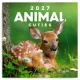 Falinaptár képes lemeznaptár 300x300mm, Animal Cuties Realsystem 2027.