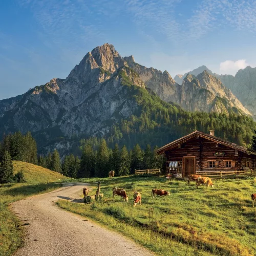 Falinaptár képes lemeznaptár 300x300mm, Alps Realsystem 2027.