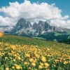 Falinaptár képes lemeznaptár 300x300mm, Alps Realsystem 2027.