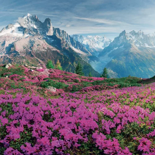 Falinaptár képes lemeznaptár 300x300mm, Alps Realsystem 2027.