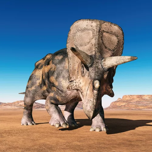 Falinaptár képes lemeznaptár 300x300mm, Dinosaurs Realsystem 2027.