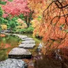 Falinaptár képes lemeznaptár 300x300mm, Gardens Realsystem 2027.