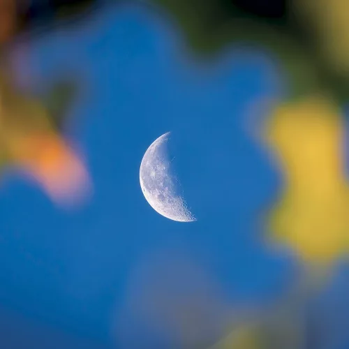 Falinaptár képes lemeznaptár 300x300mm, The Moon Realsystem 2027.