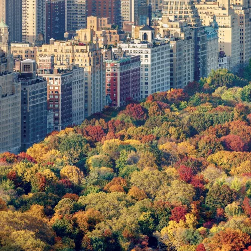 Falinaptár képes lemeznaptár 300x300mm, New York Realsystem 2027.