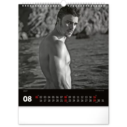 Falinaptár képes  300x340mm Men Realsystem 2027.
