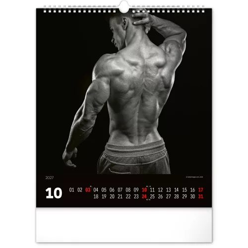 Falinaptár képes  300x340mm Men Realsystem 2027.