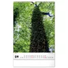 Falinaptár képes  330×460mm Trees  Realsystem 2027.