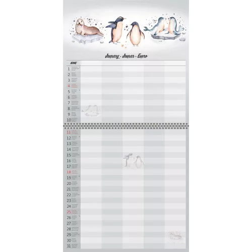 Falinaptár képes 300 x 300 mm, fehér lapokkal Family Planner Dayliner 2027.
